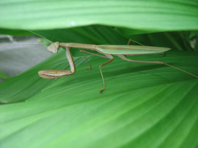 b0088037_22155370.jpg