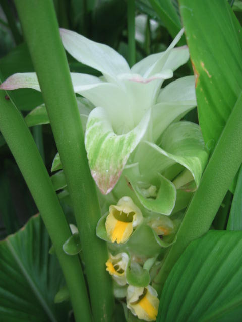 b0088037_22173611.jpg