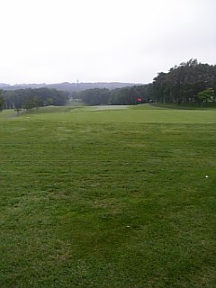 b0001440_11211025.jpg