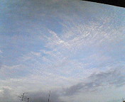 c0046340_23183125.jpg