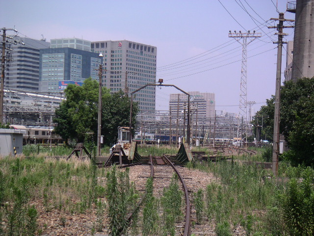 b0060646_08258.jpg