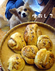 f0097456_1195991.jpg