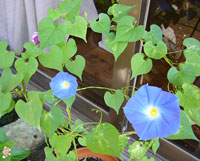 f0072560_16513283.jpg