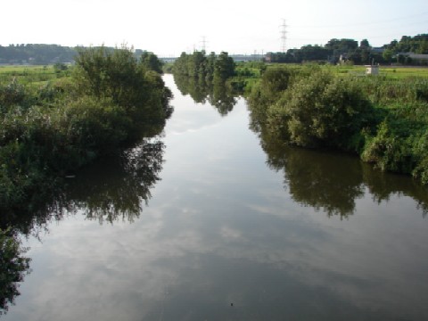 b0061261_22285669.jpg