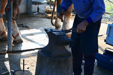 d0083363_15254470.jpg