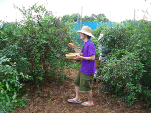 b0094868_23354212.gif