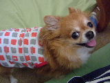 f0052071_15344041.jpg