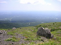 a0035678_204271.jpg