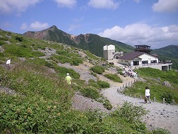 a0035678_75416.jpg