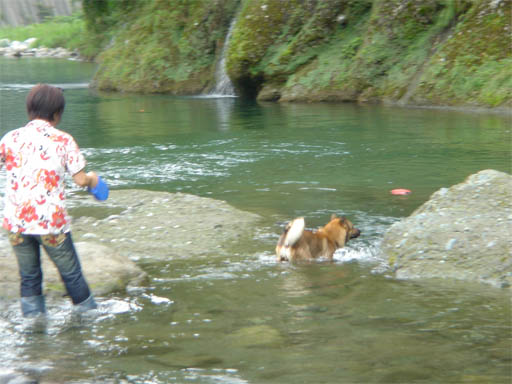 d0001985_23201048.jpg