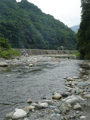d0001985_23284225.jpg