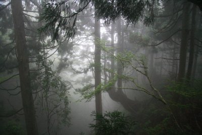 f0073587_15125363.jpg