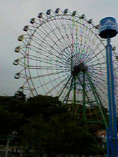 f0011389_8183639.jpg
