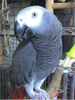 c0076490_22283875.jpg