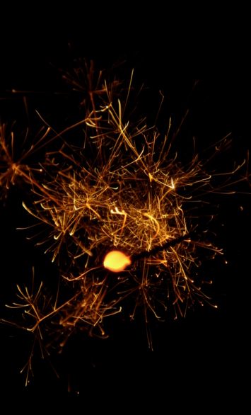 b0042500_6122688.jpg
