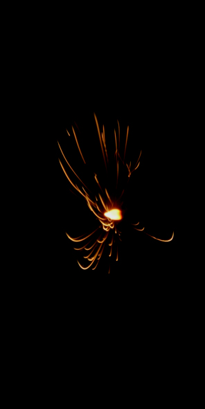 b0042500_6145350.jpg