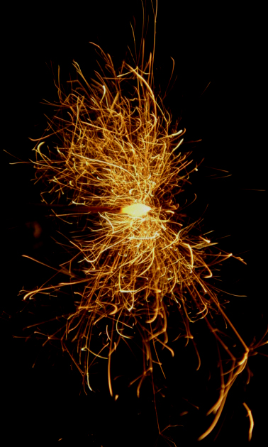 b0042500_6163767.jpg