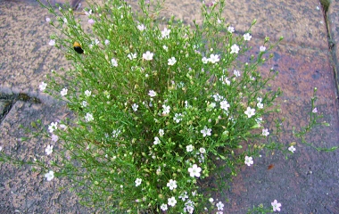f0065604_22133996.jpg