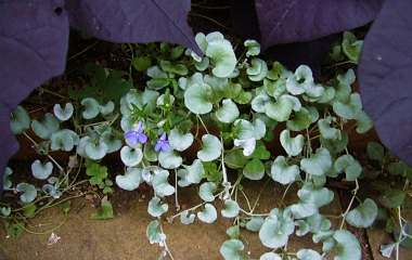 f0065604_22204071.jpg