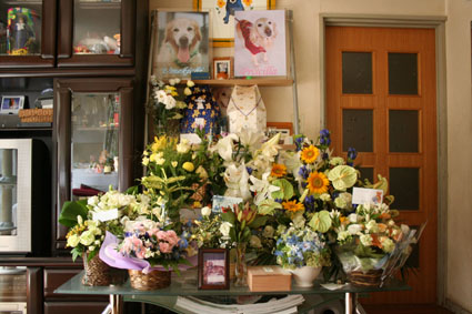 e0072606_1334831.jpg