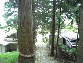 c0048625_23194249.jpg