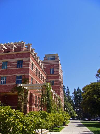 e0036628_323276.jpg
