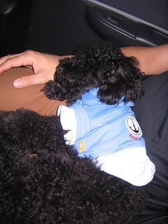 f0081431_2355640.jpg