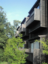 b0035734_16252685.jpg