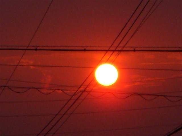 b0102639_2245977.jpg
