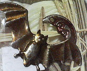 c0046340_2341618.jpg