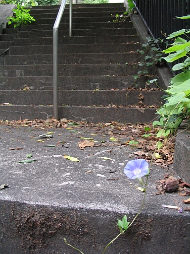 c0024743_1214051.jpg