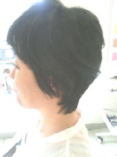 e0040845_835061.jpg
