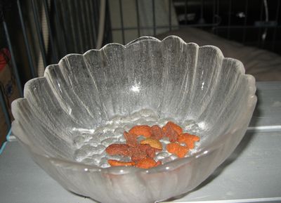 e0085147_0202632.jpg