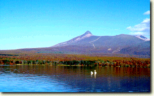 f0020352_9584485.gif