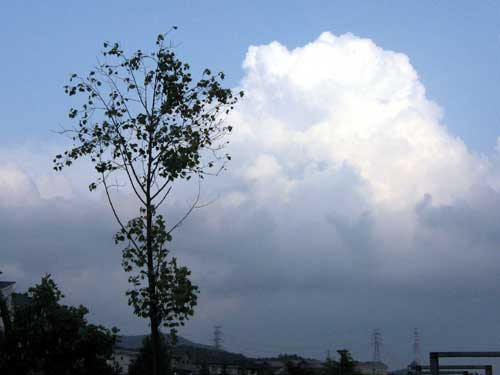 f0007956_18221891.jpg
