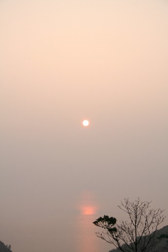 e0068962_1049095.jpg