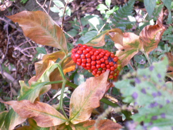 a0063364_23594520.jpg