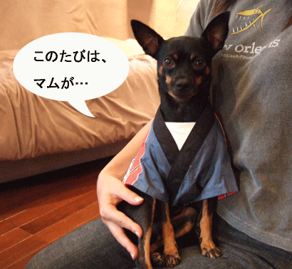 c0012571_1282777.gif