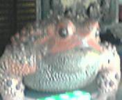 e0021276_1955190.jpg