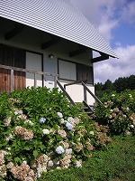 a0035678_22421525.jpg