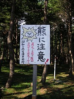 a0035678_22553295.jpg