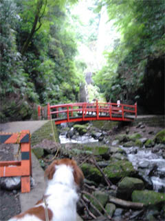 d0001985_0302127.jpg