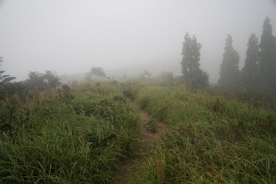 f0073587_2272365.jpg