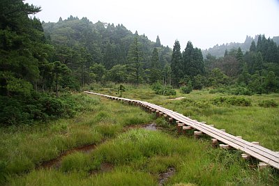 f0073587_2283783.jpg