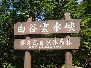 b0092794_23593652.jpg
