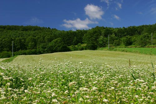 b0072697_22584470.jpg