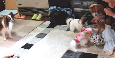 c0044199_2229140.jpg