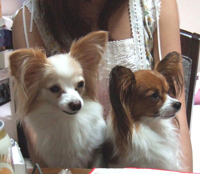 c0044199_2232013.jpg
