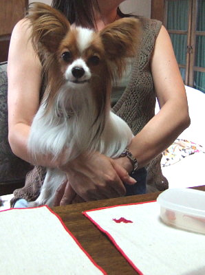 c0044199_22323659.jpg