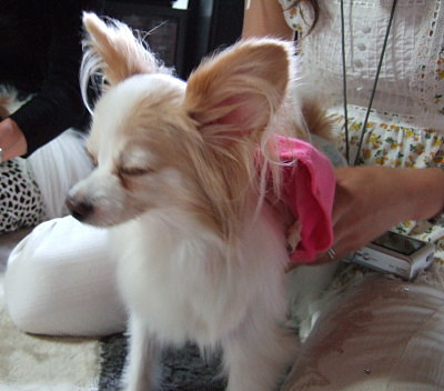 c0044199_2294715.jpg